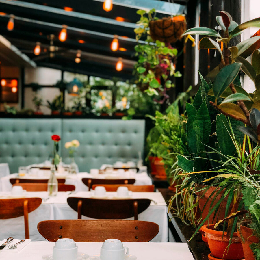 chris-liverani-oCsaxvGCehM-unsplash